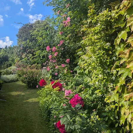 An Exclusive New Designed For Modern Living With Timeless Style شقة